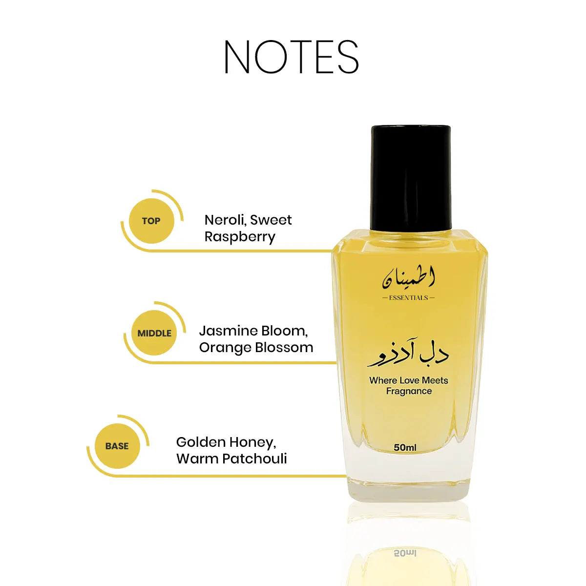 dil2color.webp